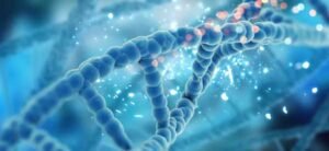 FSc Biology Part-II